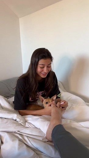 You need claw toes to do this trend fr I’m not equipped for this 😂