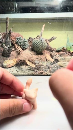 Foxes #sculpture #sculpey #animals