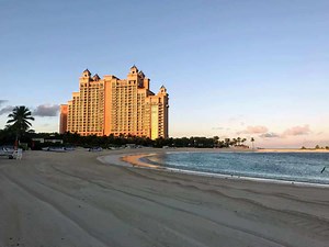 The Cove at Atlantis Review: A Parent's Dream Vacation