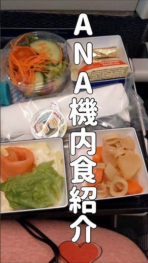 【2025年】ANAの機内食を紹介します！