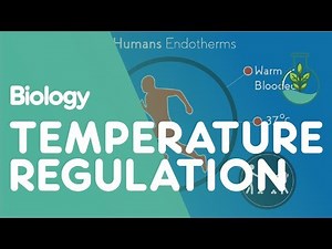 Homeostasis: Temperature Control Video Lecture | Biology for GCSE/IGCSE - Class 10