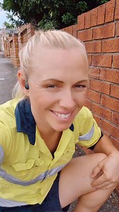 Tetragonula hockingsi. Australian native stingless bees ❤️🐝🐝🐝🐝🐝 . . . . . . . . . . . . . . . . . . #beekeeper #bees #australia #insectlovers #beesofinstogram #beesknees #polinators #brisbane #savethenativebees #savethebees #scary #meliponiculture #awesomeearth #beephotogtaphy #creepy #apismellifera #sustainability #fear #backyardbeekeeping #crazy #fear #trendingreels #viral #viralvideos #trypophobi | Urban Native Bees