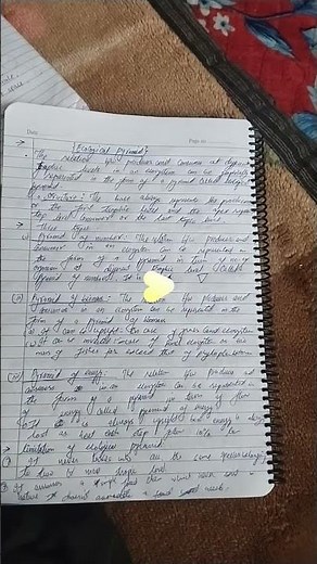 Botany Breakdown: Class 12 Essentials Explained