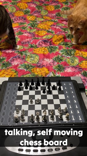 Phantom Force self moving chess board tested 👉 𝗳𝗼𝗹𝗹𝗼𝘄 𝗹𝗶𝗻𝗸 𝗶𝗻 𝘁𝗵𝗲 𝗰𝗼𝗺𝗺𝗲𝗻𝘁 𝘀𝗲𝗰𝘁𝗶𝗼𝗻 for more #robot #robotics #gadgets #toys #cooltech #technology #giftideas #awesome #gadgetify | Daily Rad