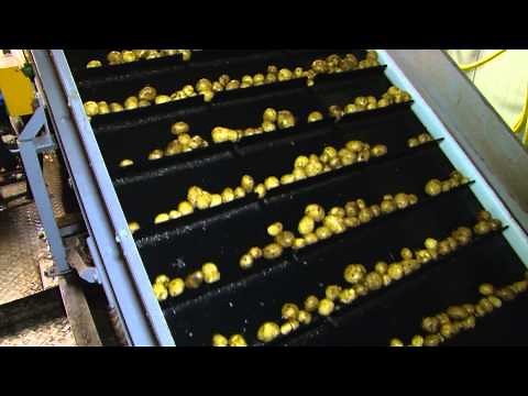 Optische sorteermachine aardappels Agro Giethoorn - www.akkerwijzer.nl