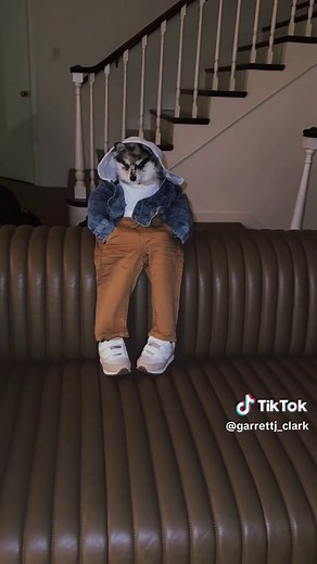 Since birf #spiffy #fyp #dog #travisscott | Dog Videos