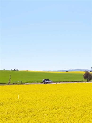 Terrain.scout on Reels