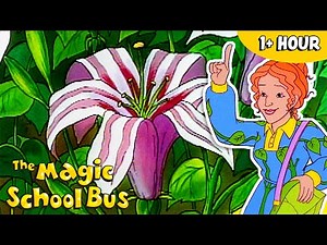 Spring Flowers | Science for Kids | Full Episodes | The Magic School Bus