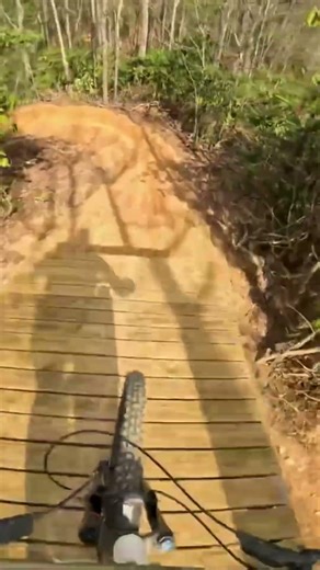 Fun bridge drop into a rock garden!