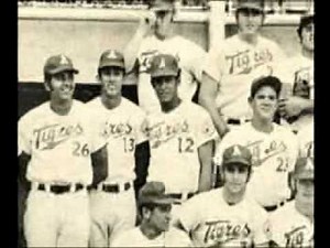 Historia de los Tigres de Aragua (Parte 1)