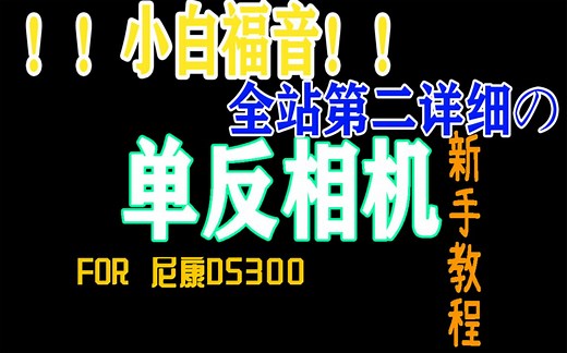单反相机纯新手入门使用教程：以尼康D5300为例