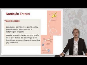 NUTRICIÓN ENTERAL. GENERALIDADES