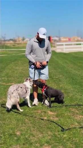 Leila is out here choosing self-control like it’s a lifestyle. 😌✨