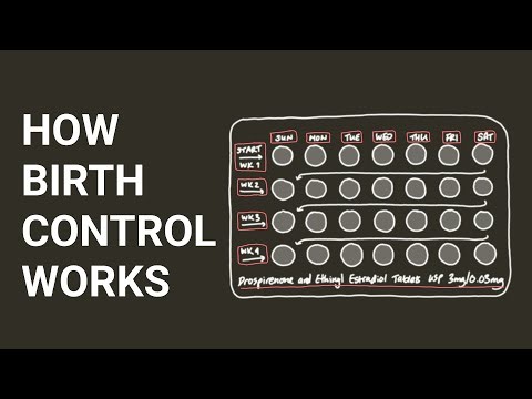 How Birth Control Works