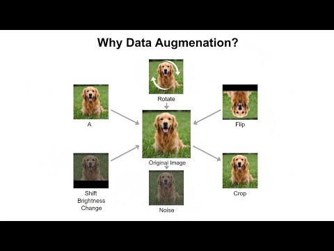 Data Augmentation in Deep Learning | Super Simple Hinglish Explanation + Visual Intuition