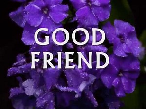 GOOD FRIEND - (Lyrics)