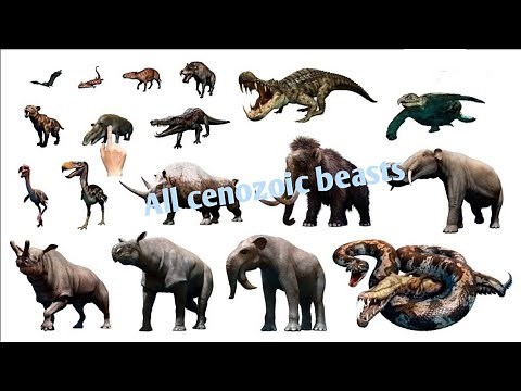 cenozoic and prehistoric beasts