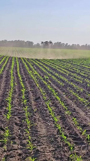 Drone Farming: Revolutionizing Modern Agriculture