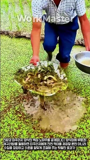 수질 정화와 먹이를 한 번에 해결하는 미꾸라지 양식장 #worker #process #eco #farm #useful