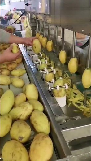 automatic mango peeling machine, fully automatic mango peeler, mango skiving machine, peel sclicer