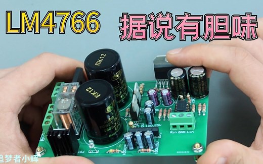 据说这款功放芯片，音色醇厚，具有胆机温暖色调，买来一块试听