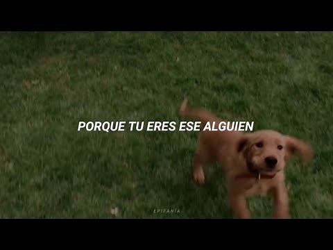 Cancion para dedicar a tu mascota...Ava max - Alone _ sub español