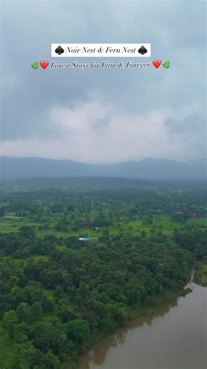 ForestFrame by the River | Glasshouse luxury for the ones who matter most. Right across Anchaviyo, just 2 hours from Mumbai… Step into Noir Nest & Fern Nest — our... | Instagram
