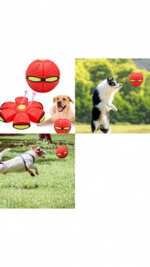 Ufo Ball Toy, Outdoor Flat Throwing Disc Ball, Shape Changing Toy, Parent Child Interactive, Suitable for 3-7 Years, Stress Relief #kidsactivities #dogtoys #kidsplay #dogtoyreview #kidsplaycenter #kidsanddogs #toptoy #dogandcattoys #flyingtoys #kidsfunactivities