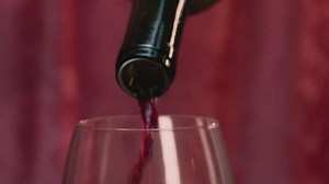 Free Coding Videos: 4K & HD | No Watermark | Download Now