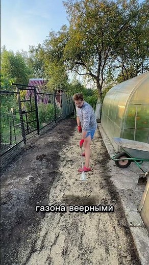 Простой способ омолодить кусты смородины #лайфхак #сад #садоводничество #дача #обзордачи #огород