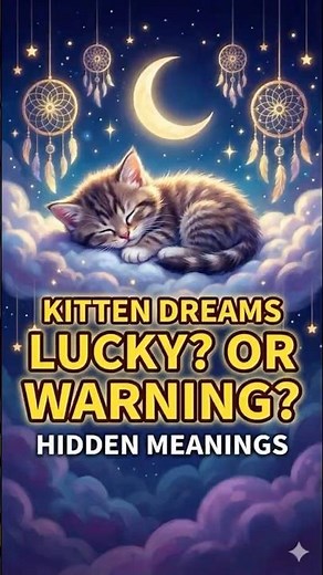 Dreaming of Kittens_ Love, Responsibility, and Maturity