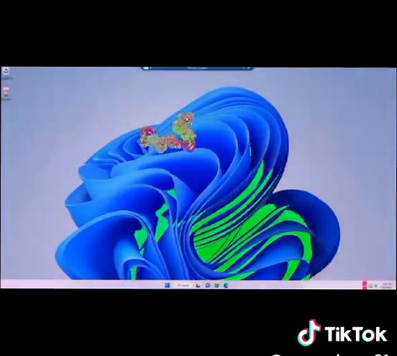 Salinewin.exe Virus Analysis on Windows 11