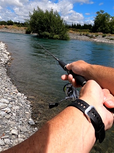 Catching Large Brown Trout: Tips and Techniques