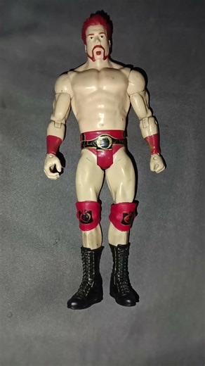 WWE Mattel Basic Battle Packs Series 21 Sheamus vs. Randy Orton