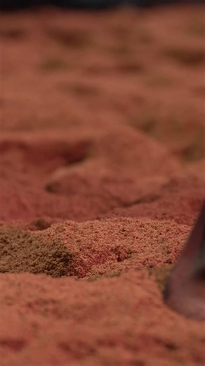 11 reactions | We had a blast with the DAAF Public Program activities...