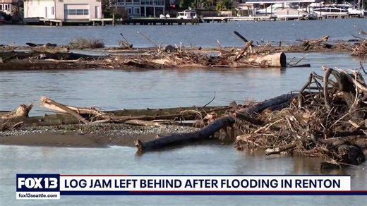 'Graveyard' of debris clogs Lake Washington near Renton after storms