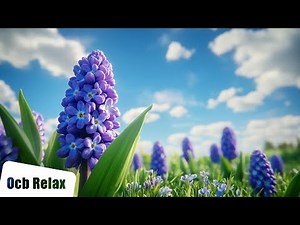 10 Hours of Calming Piano Sleep Music | Angeline