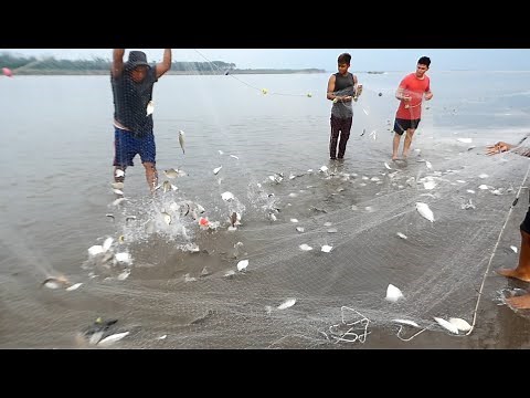 Fishing in the Ucayali River, we caught many sardines, palometas, and mullets.