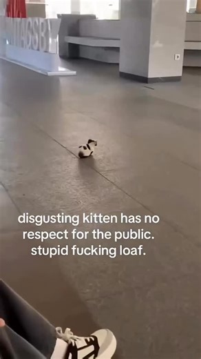Kittens on Instagram: "1992年发行的西班牙塞维利亚二人组Los del Río的歌曲🎵，最初在西班牙获得了人气🇪🇸， 随后传播到拉丁美洲和美国🌍，成为全球范围的超级热门曲目🔥。 这首歌爆发式流行的契机正是1996年亚特兰大奥运会🥇。 当时美国女子国家体操队的表演🤸‍♀️通过全球直播📺，与《Macarena》欢快的节奏💃完美融合，使这首歌的人气迅速飙升📈。 结果，在1996年，《公告牌》Hot 100榜单上连续14周夺得第一名🏆，创造了历史纪录📝，并在年末榜单上位列第一✨，同时在《公告牌》有史以来榜单上也升至第8名🥳，创造了巨大纪录。 尤其值得一提的是，这首非英语外语歌曲🌐在美国市场取得如此成功的案例，即便现在也屈指可数👏。 另一大成功因素是其令人上瘾的舞蹈🕺，简单但突出腰部动作的舞步，当时受到了男女老少👨‍👩‍👧‍👦的广泛欢迎，让全世界的人都想尝试模仿🤩。 《Macarena》成为90年代代表性的全球文化现象⭐，也是跨越世代的回忆金曲💖。 ▶ 大家是否还记得，在派对🎉上大家一起手舞足蹈，配合腰部动作跳《Macare