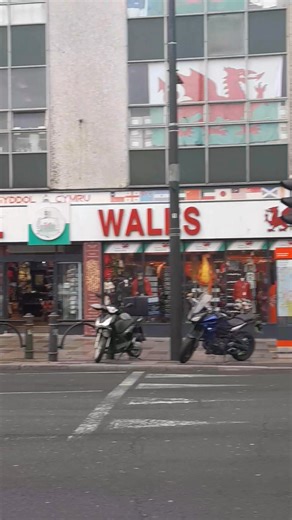 Vacation time, Cardiffs got one of those Alien 👽 things hovering above it 😎🐕😉 | Vincent Boots