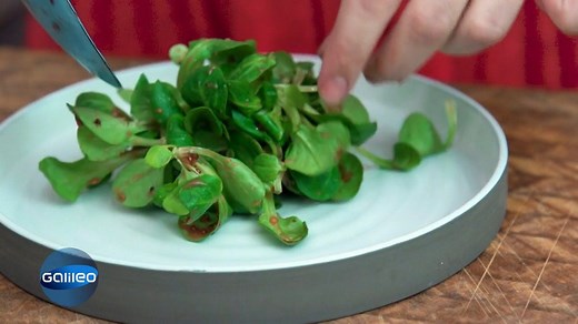 Wollt ihr mal Feinschmeckergäste so richtig verblüffen? Dann kocht doch mit Brotresten, statt sie wegzuschmeissen! #Galileo stellt euch einfache Rezepte vor. | Galileo