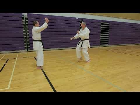 Karate Kihon Ippon Kumite