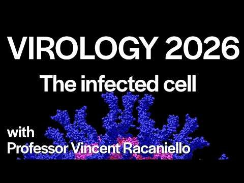 Virology Lectures 2026 #11: The Infected Cell