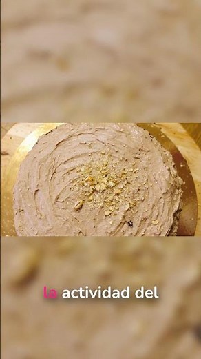 El secreto natural que protege al Mazapán 🥜✨ #curiosidades #alimentos
