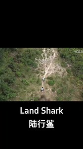 6.1M views · 64K reactions | Shameful! The man pushed the little girl towards the shark just to save his own life! #陆行鲨 #LandShark #优酷电影 #youkumovie | Youku Movie | Facebook