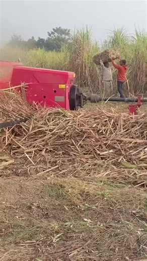 Indian Farmers vs. Pakistani Farmers: A Comparative Study