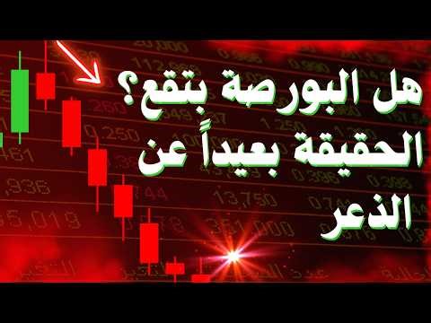 هل البورصة بتقع🔻؟ الحقيقة بالأرقام وبعيداً عن "الذعر" - البورصة المصرية