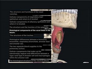 Respiratory System Histology - Respiratory System Lecture Overview