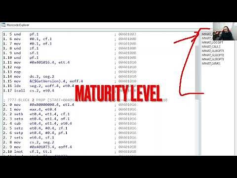 Introduction to the Hex-Rays Decompiler SDK