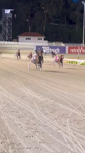 1.5K views · 21 reactions | Tashs Spartan sprints home well and records a lovely win for Colin Joss and Curly Warwick… #GloucesterPark | Gloucester Park | Facebook